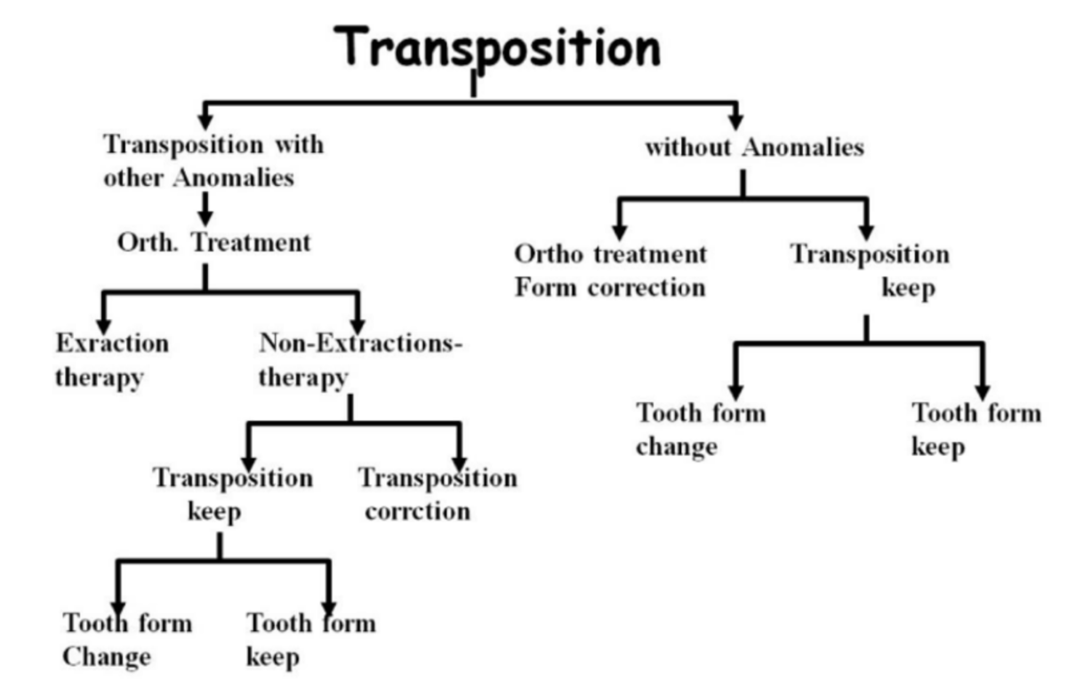 Unlocking the Mystery of Transposed Teeth